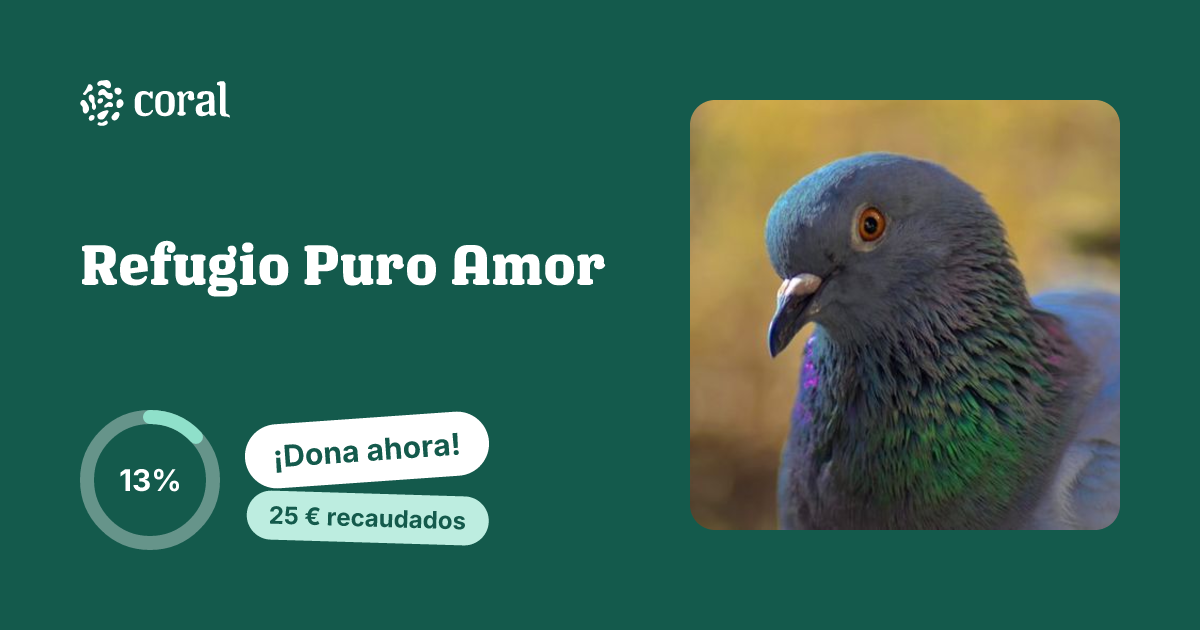Vista previa de Refugio Puro Amor al compartir en redes sociales